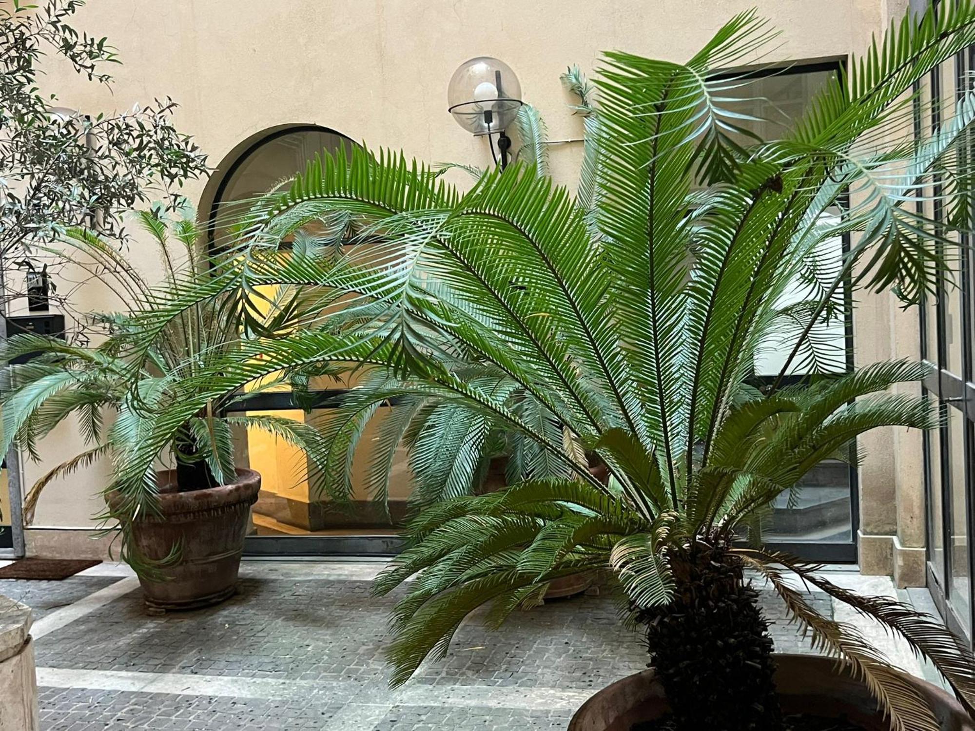 Antico Apartment Rome