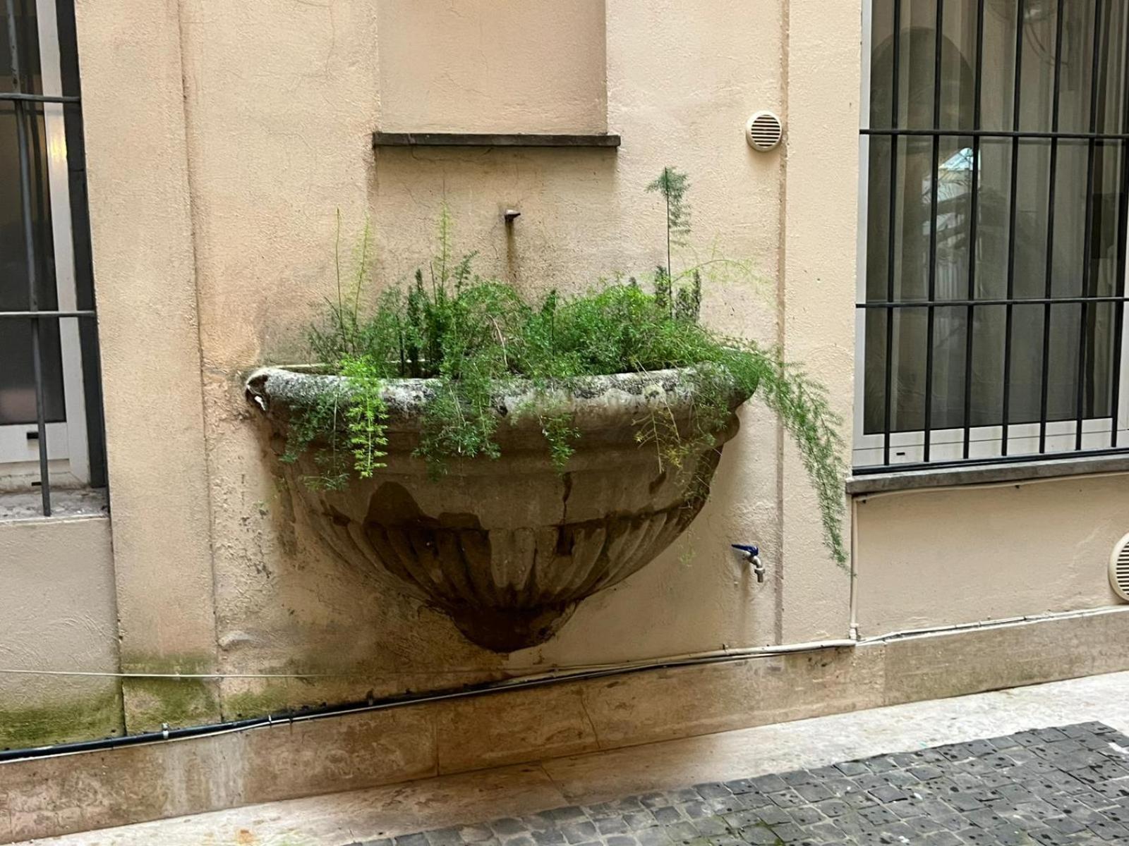 Antico